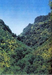 SGK Dia li 10 Hinh 19.8.jpg